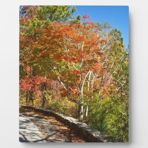 Fall at Stone Mountain plaque