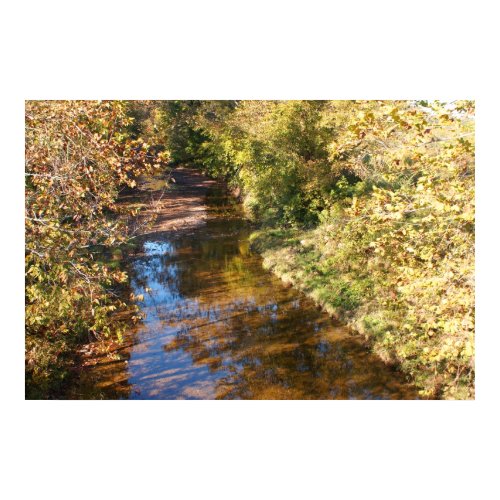 Fall at the Creek print