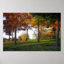 Fall at the Grove / Rancho San Rafael Posters