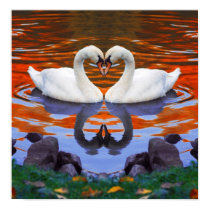 Fall Autumn Lake Reflections of Swans in Love posters