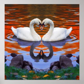 Fall Autumn Lake Reflections of Swans in Love print
