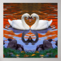Fall Autumn Lake Reflections of Swans in Love posters