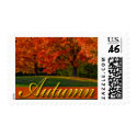 Fall Autumn Wedding Stamps Postage stamp
