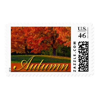 Fall  Autumn Wedding Stamps Postage