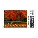 Fall  Autumn Wedding Stamps Postage