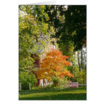 Fall Beauty Greeting Card