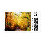 Fall beauty postage