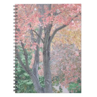Natures Fall Beauty Personalized Journal