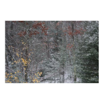 Fall Before Winter posters