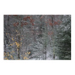 Fall Before Winter Print