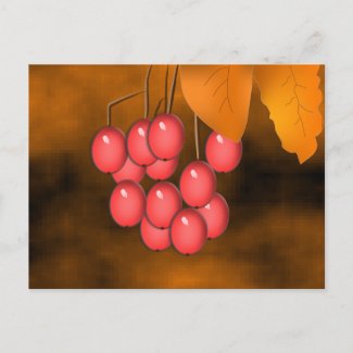 Fall Berries & Leaves postcard