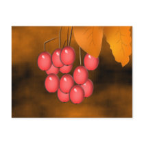 Fall Berries & Leaves postcards