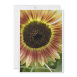 Fall Bloom Custom Invitation