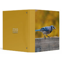 Fall Blue Jay binders