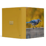 Fall Blue Jay binders