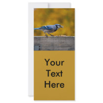 Fall Blue Jay rack cards by ZooCandy Fall Blue Jay rack cards
