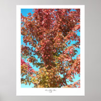 Fall Blush Print