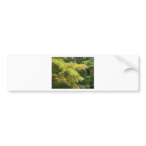 fall bumper stickers