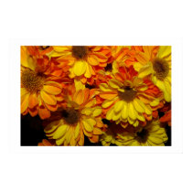 FALL BURSTING posters by gbean1 FALL BURSTING posters