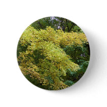 fall buttons