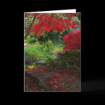 Fall cards