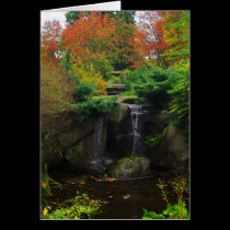 Fall cards