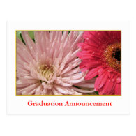 Fall chrysanthemum flower graduation announcement postcards