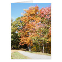 Fall Color 32 ~ card