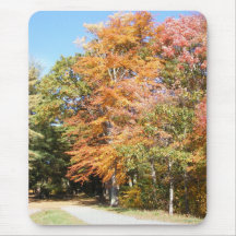 Fall Color 32 ~ mousepad