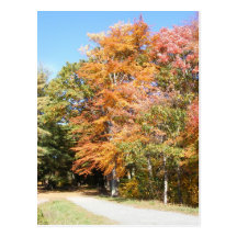 Fall Color 32 ~ postcard