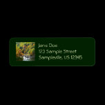 Fall Color at Ohiopyle Return Address Label