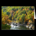Fall Color at Ohiopyle State Park Card