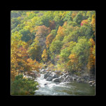 Fall Color at Ohiopyle State Park Magnet