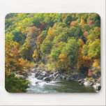 Fall Color at Ohiopyle State Park Mousepad