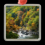 Fall Color at Ohiopyle State Park Ornament