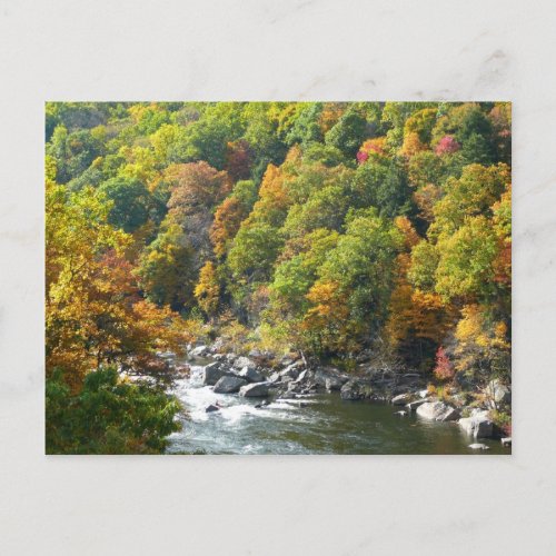 Fall Color at Ohiopyle State Park Postcard postcard