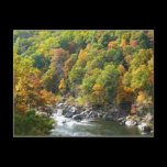 Fall Color at Ohiopyle State Park Postcard