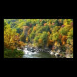 Fall Color at Ohiopyle State Park Print