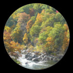 Fall Color at Ohiopyle State Park Sticker