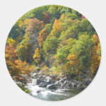 Fall Color at Ohiopyle State Park Sticker