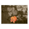 Fall Color cards