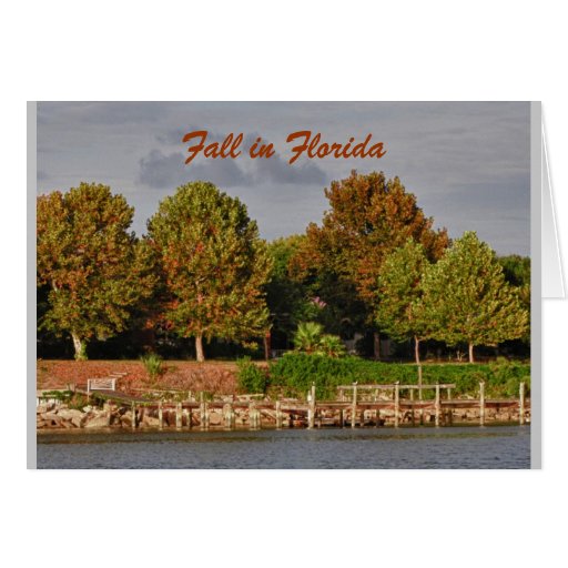 Fall Color, Florida Shoreline Cards