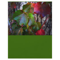 Fall Color flyers by Cosmotose Fall Color flyers
