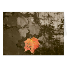 Fall Color Greeting Card