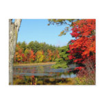 Fall Color In New England Postcard