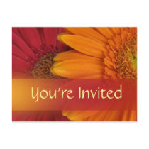 Fall color invitation postcard by perfectpostage Fall color invitation postcard