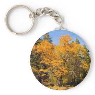 Fall Color Keychain 1 keychain