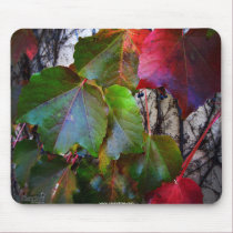 Fall Color mousepads