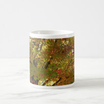 Fall Color Mug