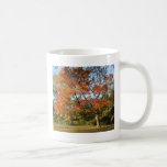 Fall Color Mugs